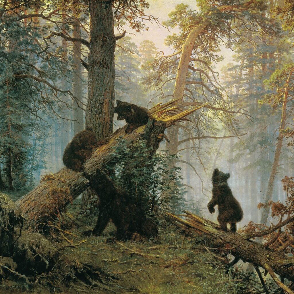 niedźwiedzie w lesie