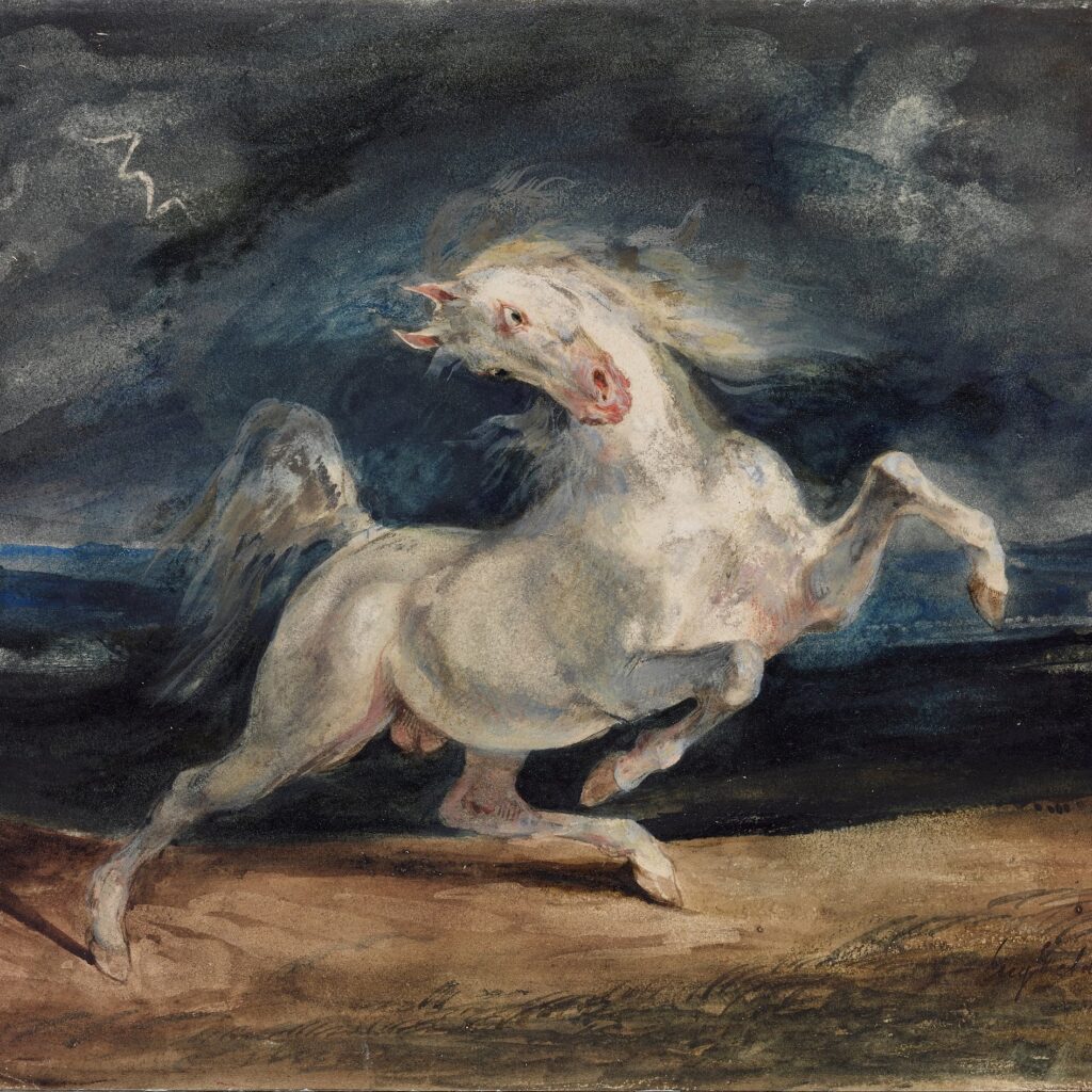 obraz konie